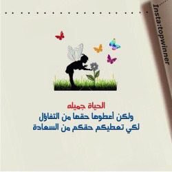 صقر اليمن الحر (@freeyemenfalcon) on Twitter photo 