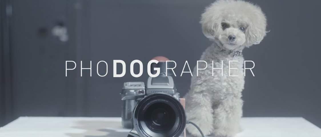 FIF_puebla's tweet photo. Todos podemos se fotografos, hasta nuestras mascotas. #HagamosFoto #FIFPuebla
https://t.co/ATLiXskyr8 https://t.co/NC7HlpDLUE