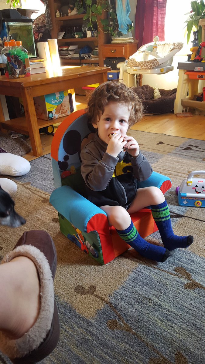 Gracefulshrimp's tweet image. Watching Daniel Tiger, eating a granola bar,  no pants.  #normalmorning