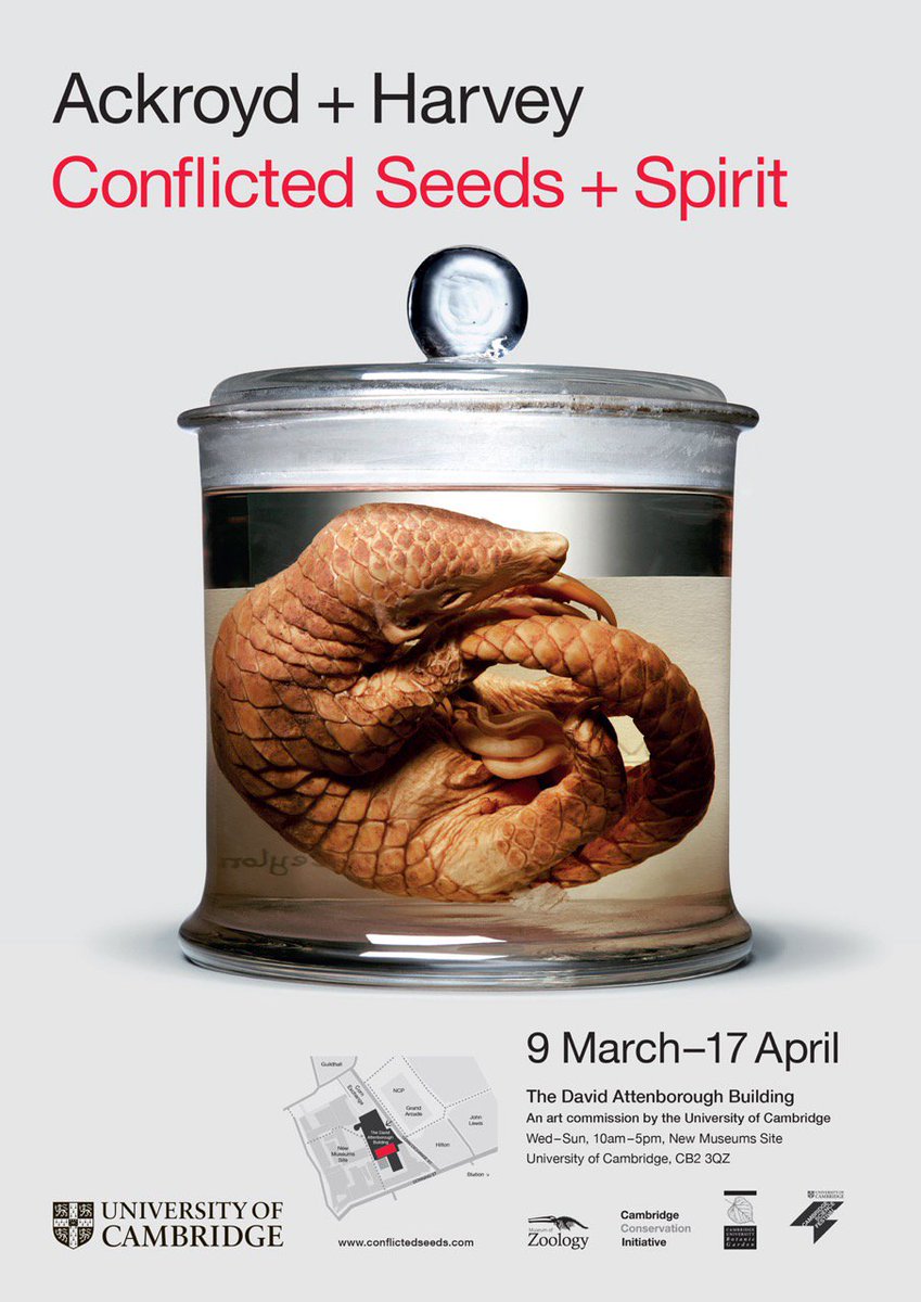 We're very excited to be working with <a href="/ConflictedSeeds/">Conflicted Seeds</a> on their iconic art installation at Cambridge Uni #ahredlist