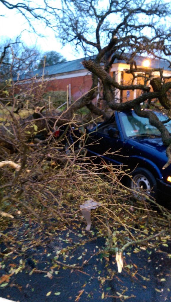 jamesearlrudder's tweet photo. Tarleton State reported trees down. The Stephenville campus is closed until 13:00. #TAMUSystem https://t.co/9tkvZmu0bF