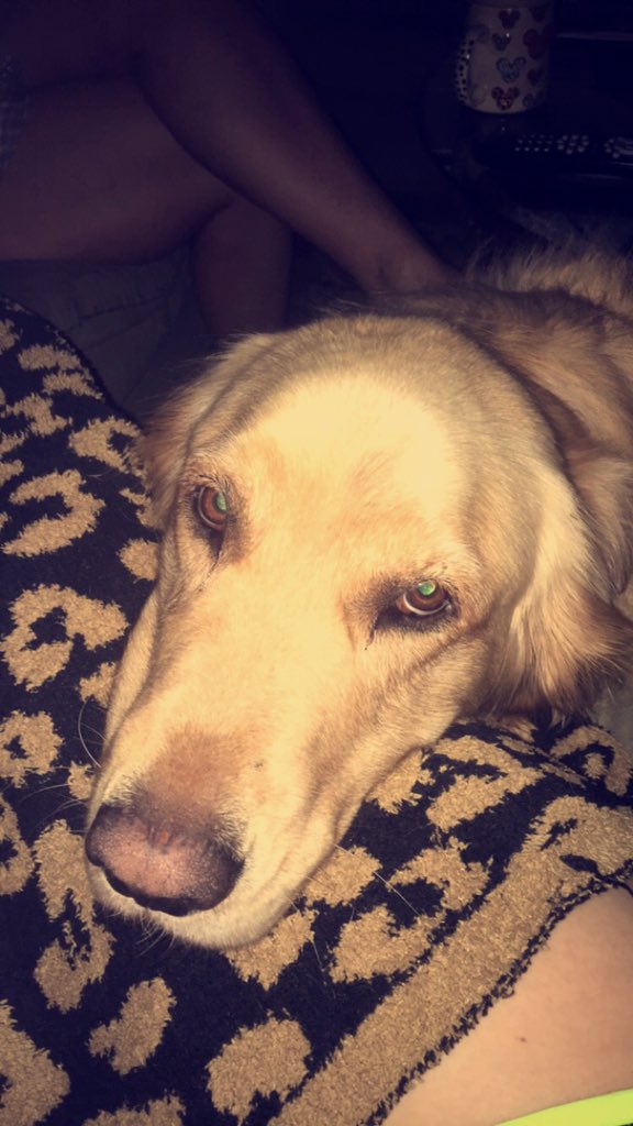 __Tuff___'s tweet photo. #WeLoveWrangler https://t.co/1Ej6EpaK1a