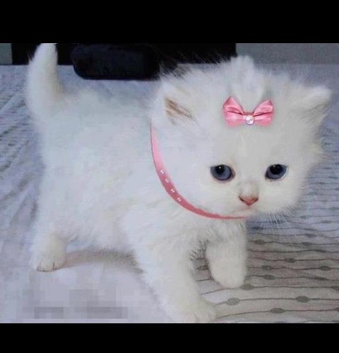 40014_'s tweet photo. @ejooje2016 

نفس كذا وربي تخرفن 😻 https://t.co/ajUUxHg088