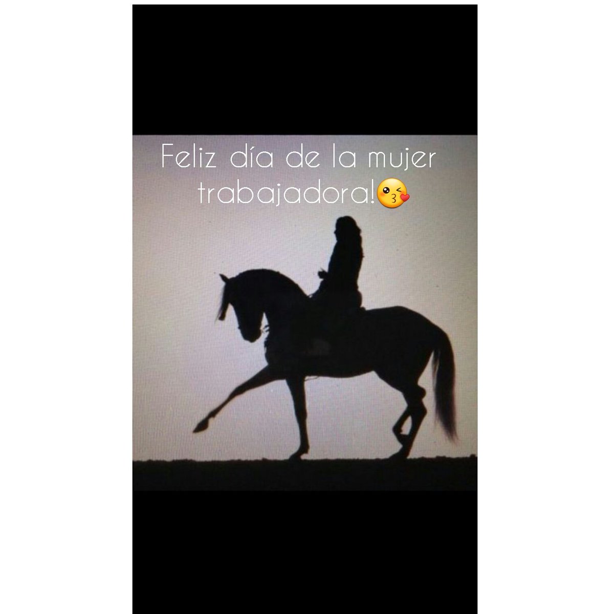 Noelia Mota (@noeliamota1) on Twitter photo 