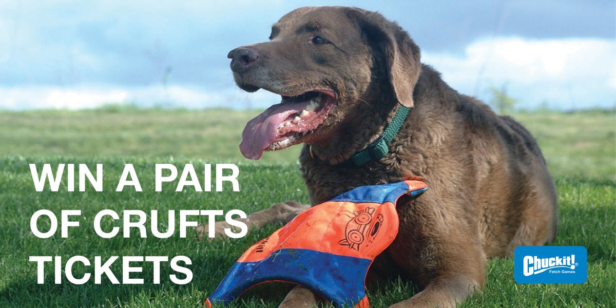 ChuckitUK's tweet photo. Only 3 hours to go! RT &amp; Follow to #win 2 tickets to #Crufts2016! Ts &amp; Cs: https://t.co/HAMY4ZEJa7 #ChuckitComp https://t.co/sAQ5pCa0BT