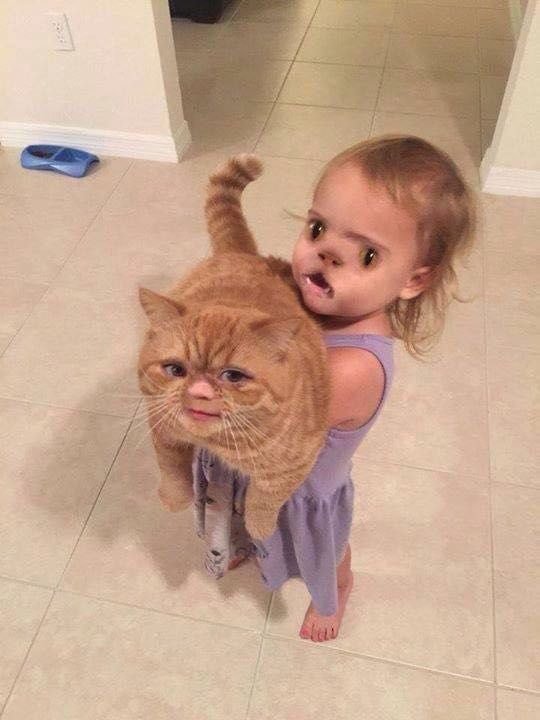 9GAG's tweet photo. The most terrifying faceswaps ever
https://t.co/4iJ2V213lM https://t.co/B16eMMyRz4