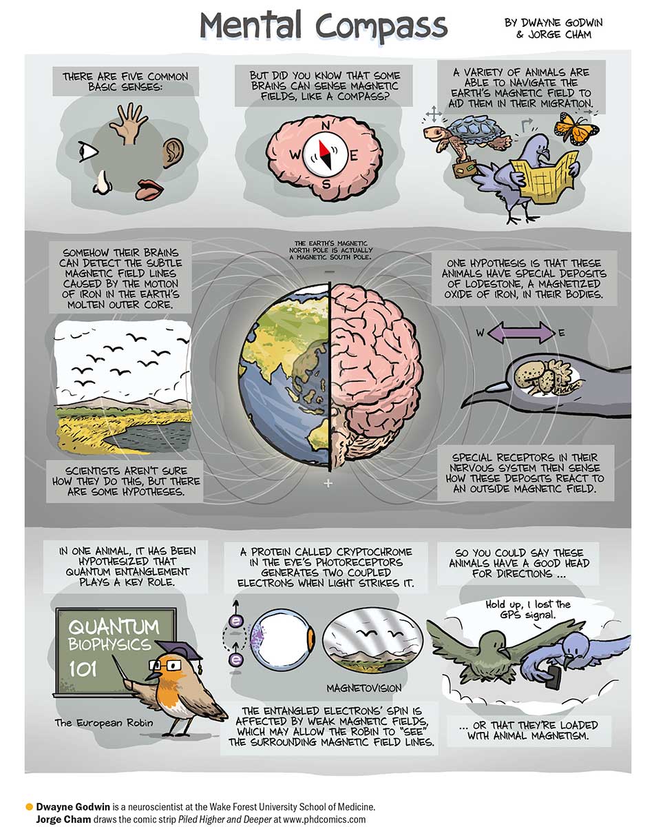Neuroscientist and cartoonist team up to talk about birds