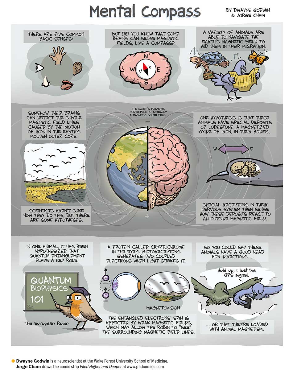 Neuroscientist and cartoonist team up to talk about birds 