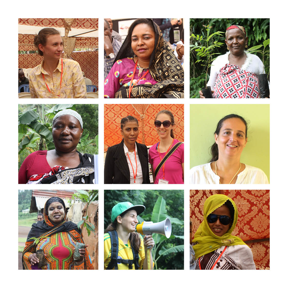 Dahari Comoros tweet media