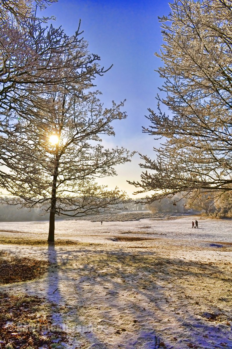 RT_Graphics's tweet image. Sale! 50% off winter scenes until the end of March
rawtalentgraphics.co.uk/product-catego…