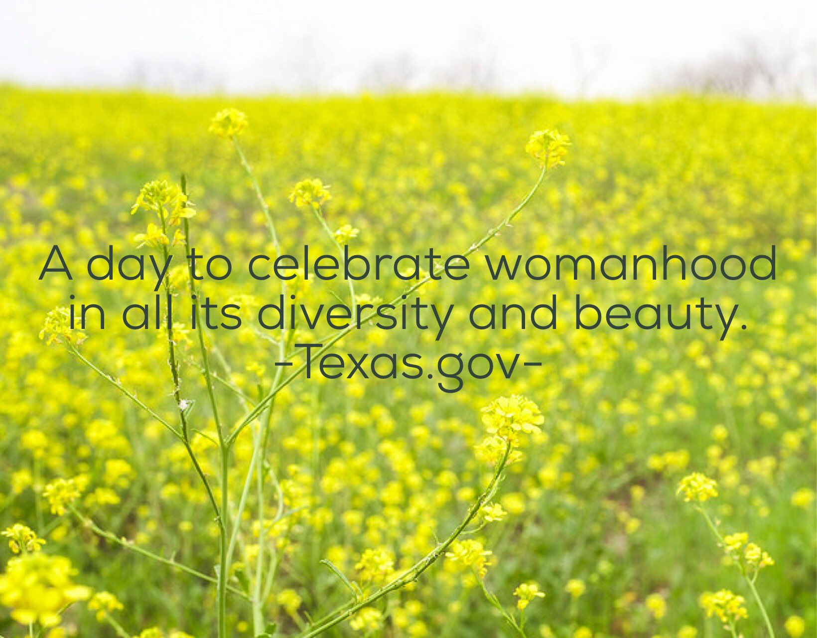 Texas.gov State of Texas Official site on Twitter "Happy 