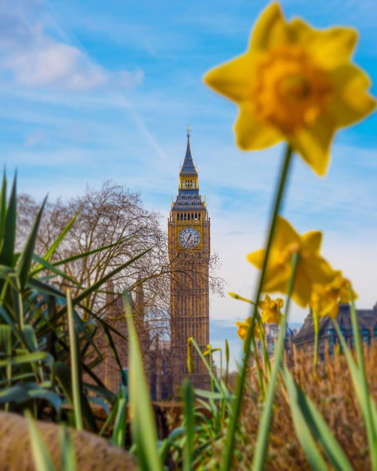 How is going your Tuesday? Spring is finally coming to London!