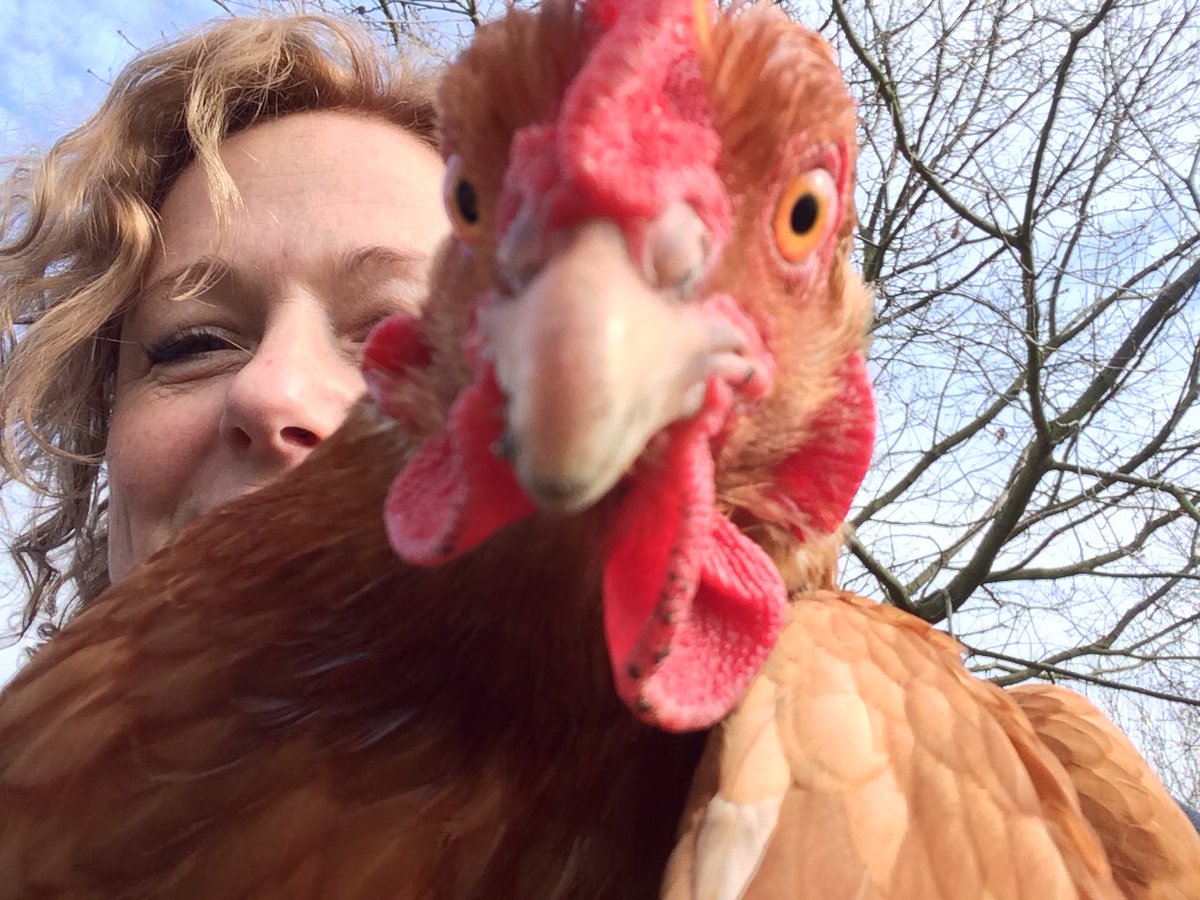 bigtoasteruk's tweet photo. @raymondsheehy @BHWTOfficial Doris is more vain than me! #camerashynot!!! https://t.co/S51uY0DUZS