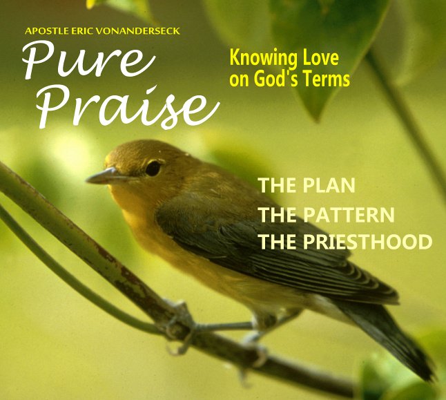 ApostleEric's tweet photo. Pure #Praise
Discover now how the early #church truly #worshiped God.
https://t.co/Lyg1LowP8X
#PerryStoneMinistries https://t.co/FzCMswC9L7