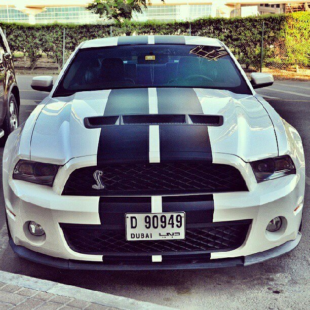dailymustangs's tweet photo. Shelby GT500's are 👌😍 https://t.co/ohDonMjIGm
