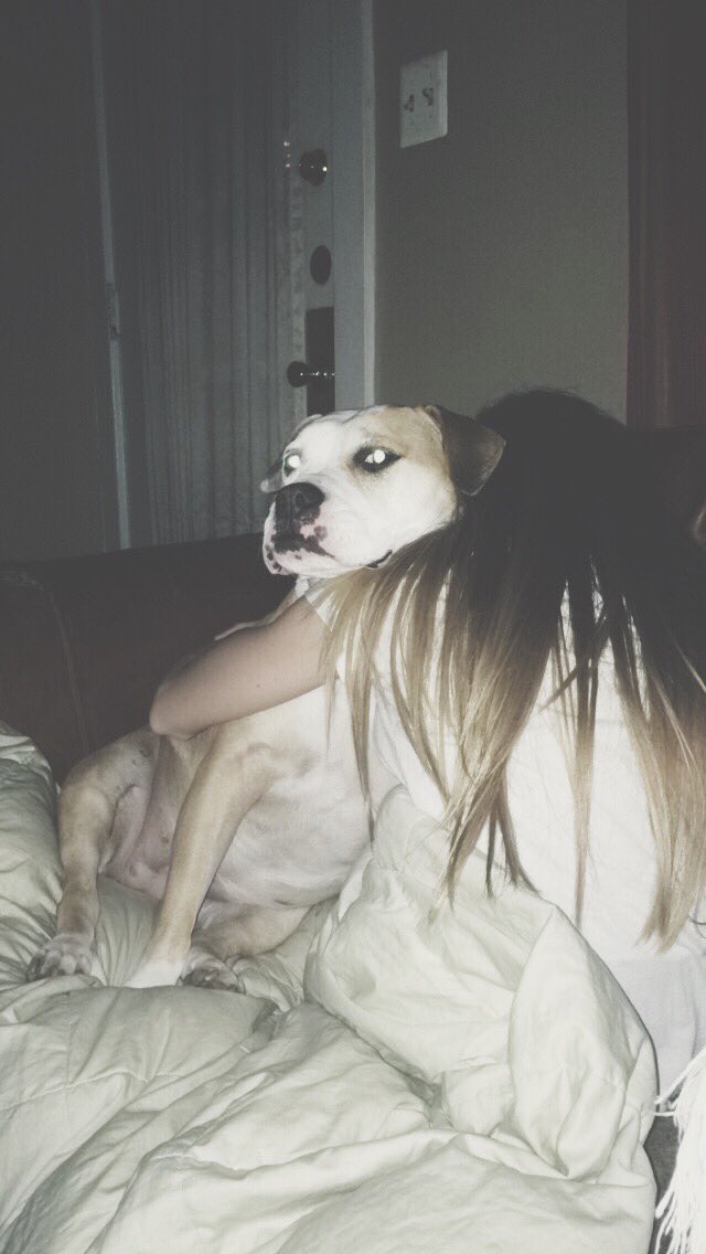 WeAdoreCouples's tweet photo. rest in peace allie 😔❤️ i miss you so much. https://t.co/j7h9T8837N