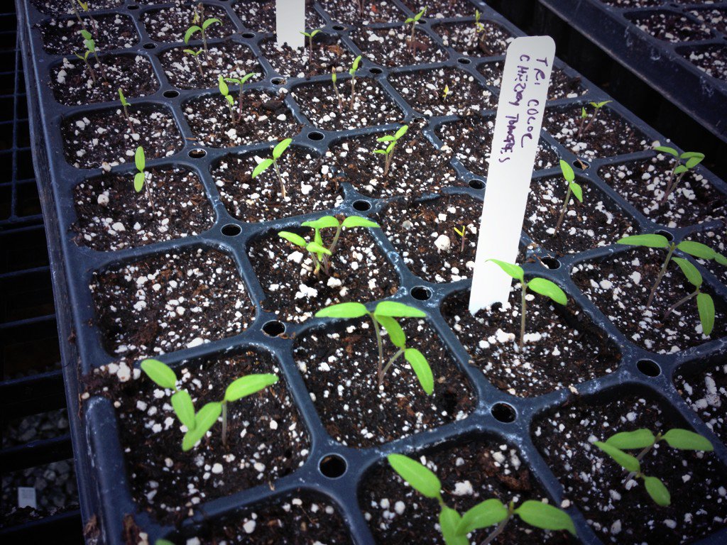 Malcolm McClain tweet media