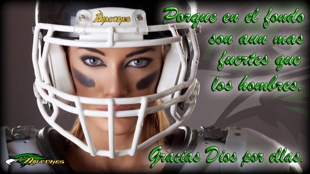 Halcones Pty tweet media