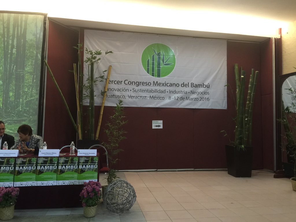 dantelepe's tweet photo. #3CMB ya iniciamos el #3erCongresoMexicanoDelBambú en #Huatusco #Innovación #Sustentabilidad #Industria #Negocios https://t.co/jlqs4V2tq2