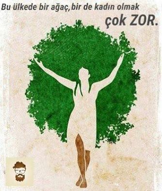 Melek Yeşilli (@melekyesilli) on Twitter photo 