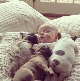 PuppyPorns's tweet photo. nap time https://t.co/gDmLy2MVVd