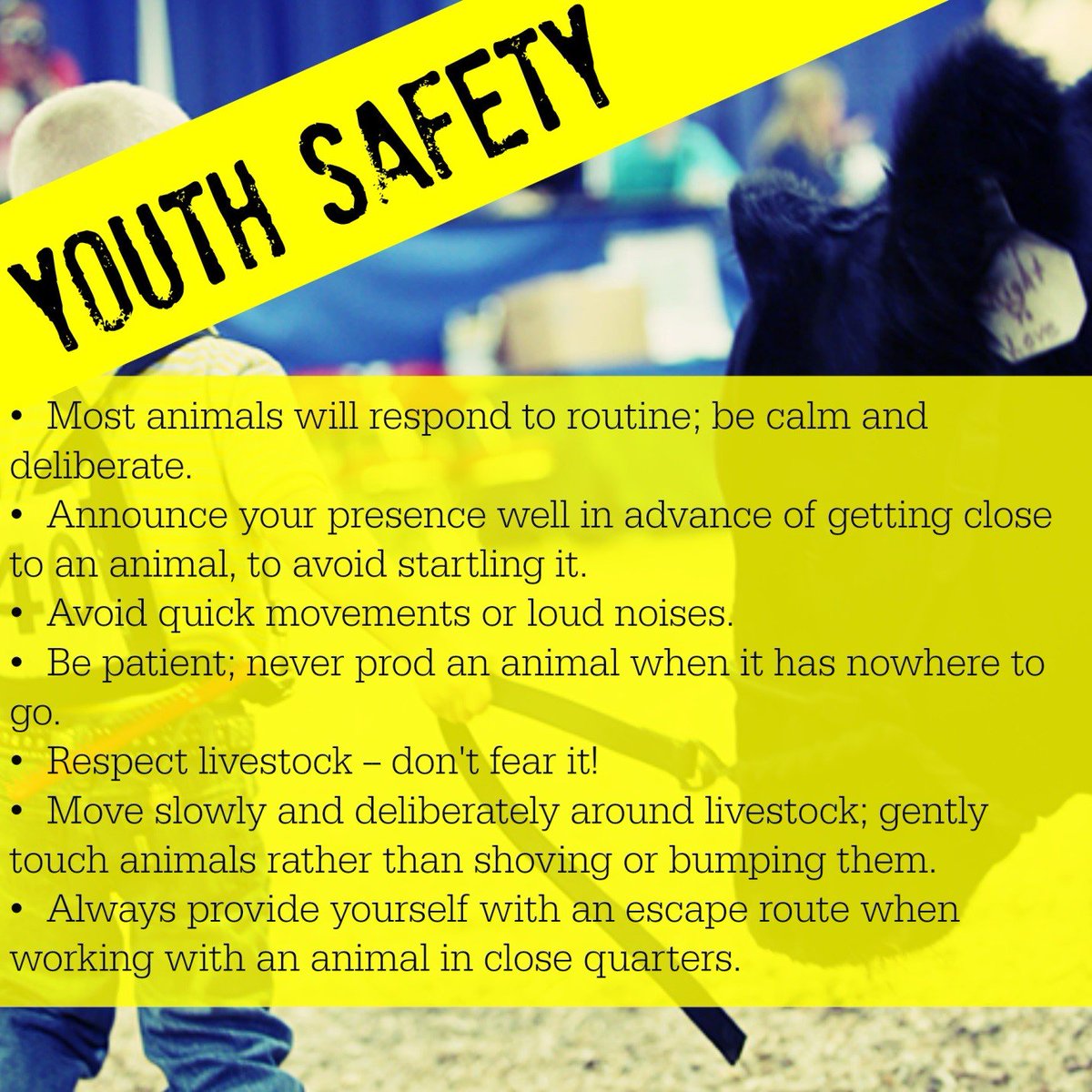 FarmKnox's tweet photo. 38 children are injured every day on U.S. Farms - CAUTION, Safety is No Accident! #AgSafetyAwareness https://t.co/ny8aQZZZIe