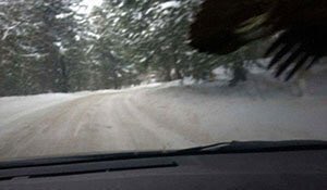 Tim Higgs tweet media