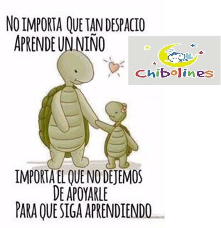 chibolinesmx's tweet photo. https://t.co/nvz7WUD81m