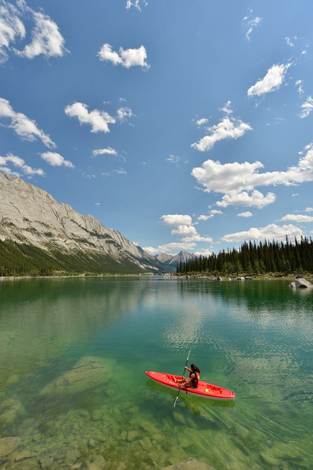 Pelican salutes #InternationalWomenDay
