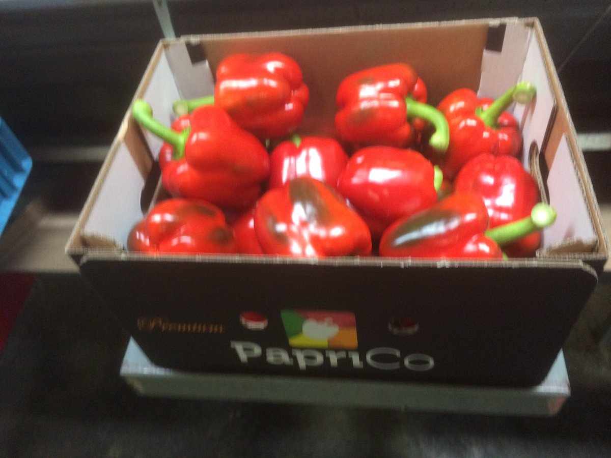 Jansen Paprika (JansenPaprika) Twitter