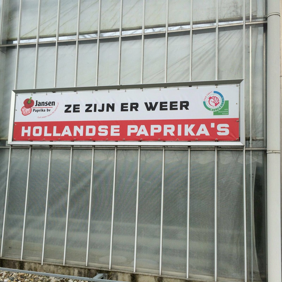 Jansen Paprika (JansenPaprika) Twitter