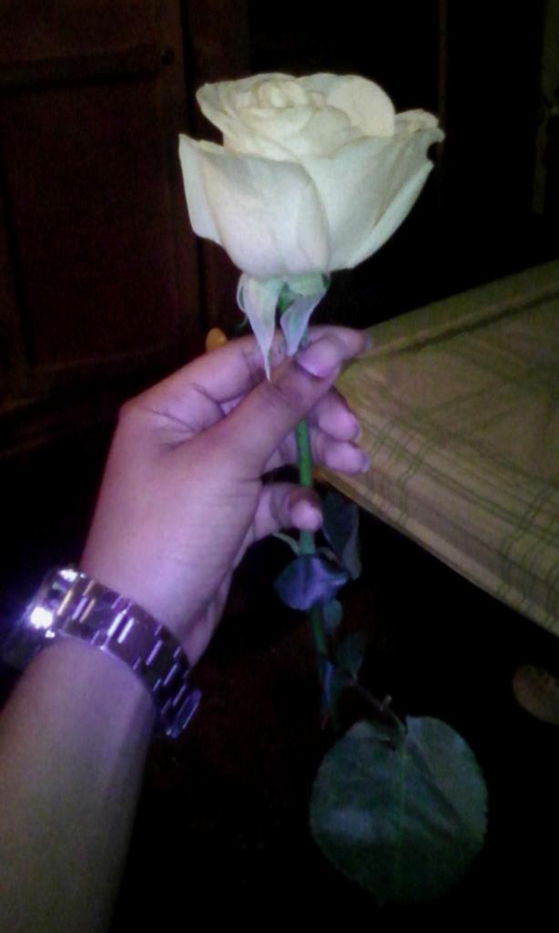 mischell16's tweet image. 