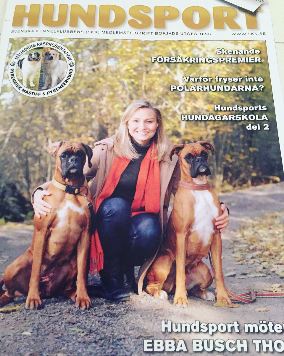 Ebba Busch On Twitter Parhenriksson Neeej Bella Leker Aven Med Katter Hon Ar Tuff Men Snall