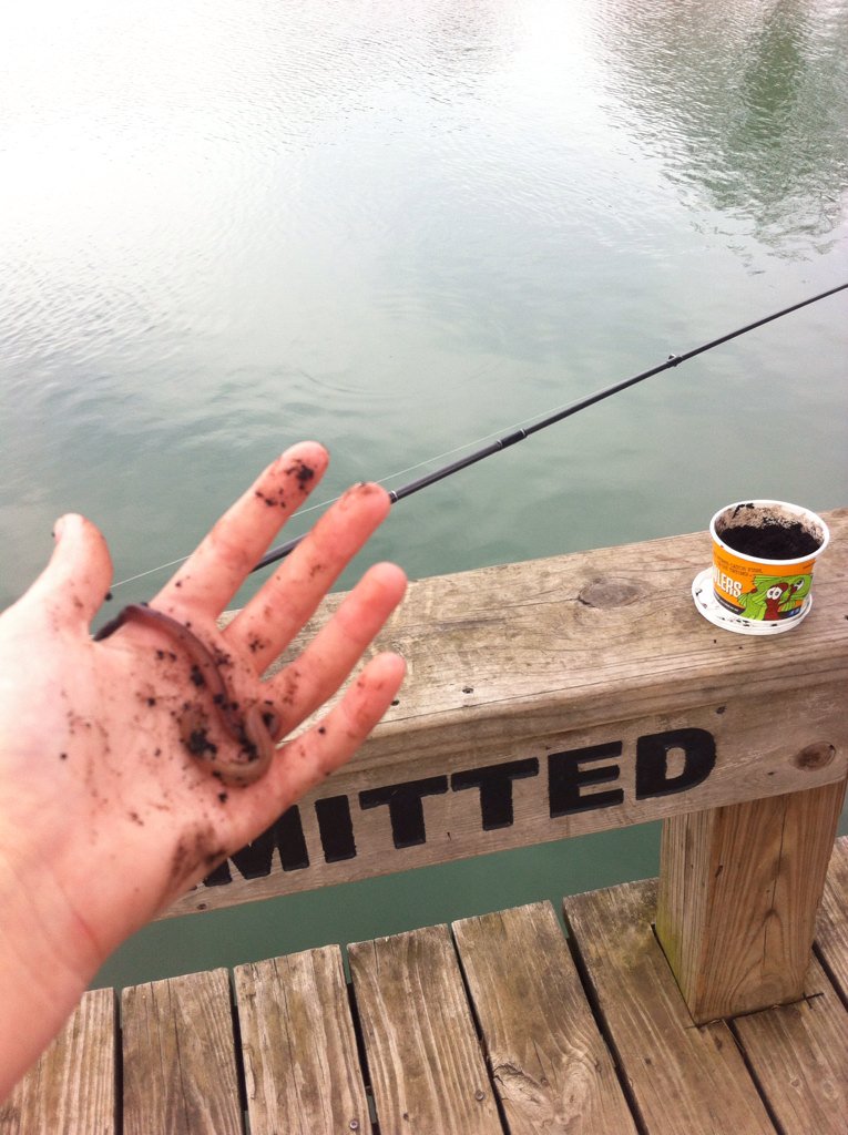 SarahThePotato1's tweet photo. I got to murder worms Sunday 😂 it was fun 🐟🎣 https://t.co/9uW9WOfq5B