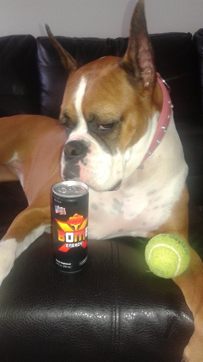 drinkxbomb's tweet image. #XBOMB #GETFUELED # tennis # match #dogs #ThirstyThursday