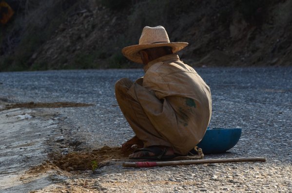 Milenio DataLab tweet media