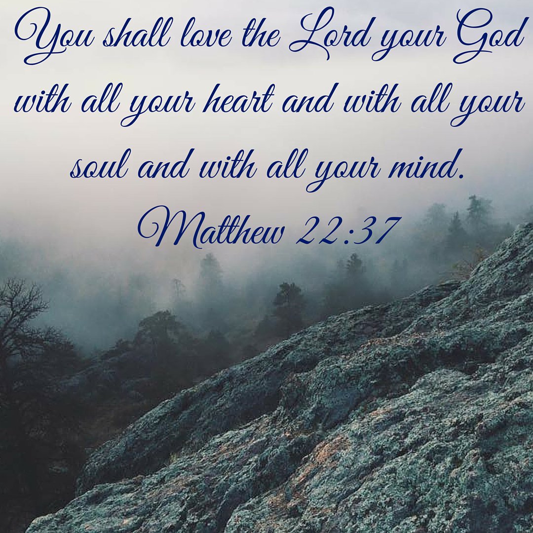 TheChurch_org's tweet image. #greatestcommandment #love #faith #matthew22 @father #soul #heart #mind #believer