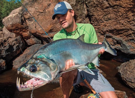 Venezuela #FlyFishing - #Payara The Vampire Fish
bit.ly/1M4QCkk