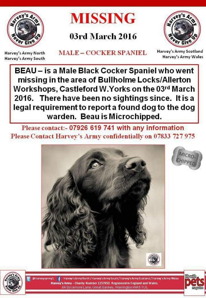 LisaLisaw1's tweet photo. Please RT #HelpFindBeau @petsarefound @Harveysarmy1 @HelpFindThem14 @VetsGetScanning @MissingPetsGB @HunnyJax https://t.co/jj0Y8SkNn0