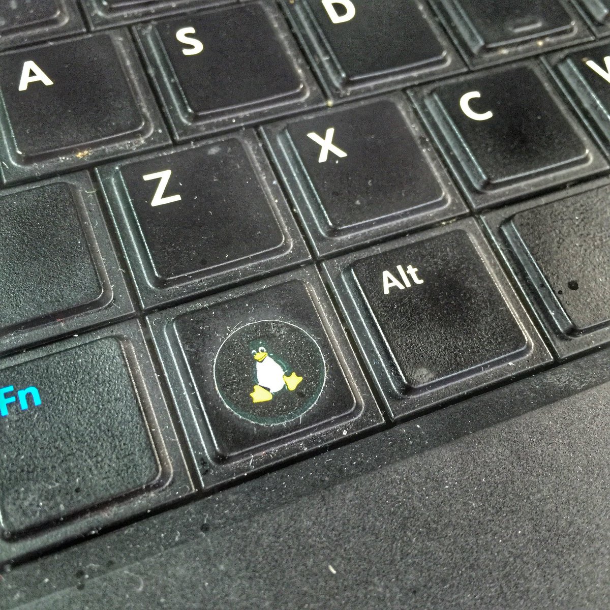 SQLRockstar's tweet image. I found this #sqlserver sticker on @leonadato laptop today. #SQLServerOnLinux