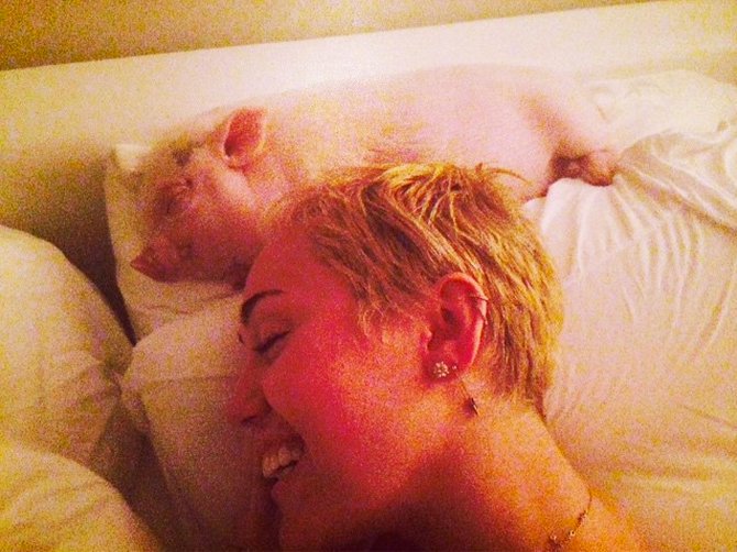 chooseonemiley's tweet photo. Choose one photo #piggy #bubbasue https://t.co/GKZYjlUuzq