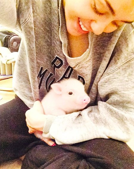 chooseonemiley's tweet photo. Choose one photo #piggy #bubbasue https://t.co/GKZYjlUuzq
