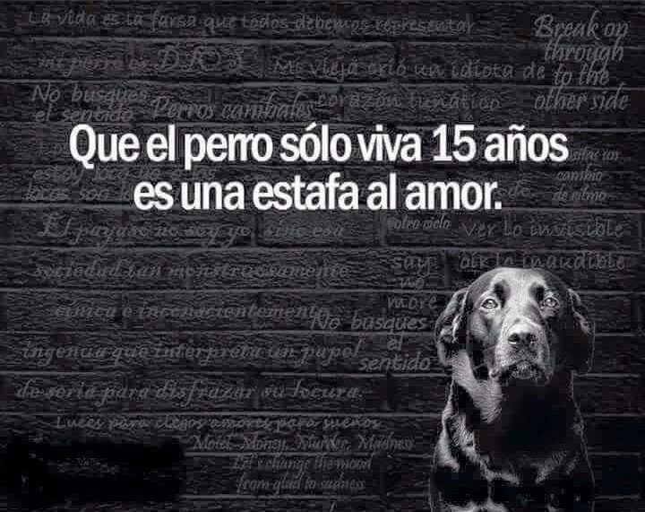 yolandamesas's tweet photo. https://t.co/Ws3mraGERY