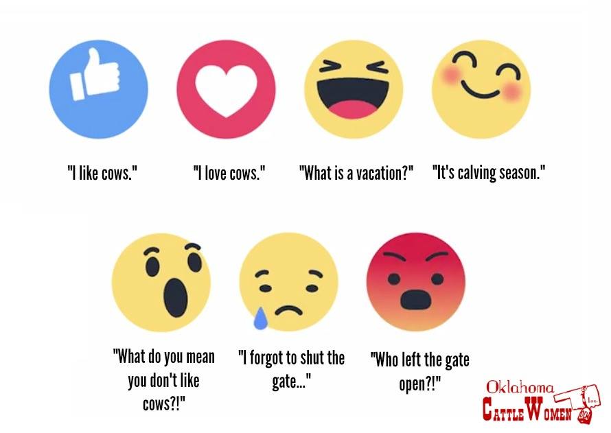 OCA_ORcattle's tweet photo. We're ready for your "like" update twitter! #socialmedia #facebooklikes #orcattle https://t.co/NG9KoHndjV