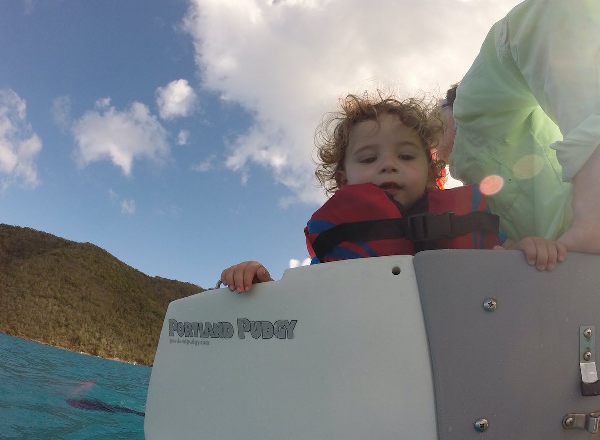 teresa_carey's tweet image. Whats back there? @PortlandPudgy #love2row