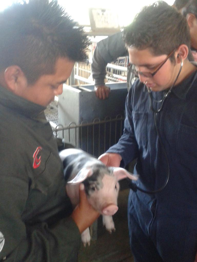 CBTA67_SubAcad's tweet photo. Toma de constantes fisiológicas #explotacionganadera #sectorpecuario #CBTA67 https://t.co/tODK0ngb7S