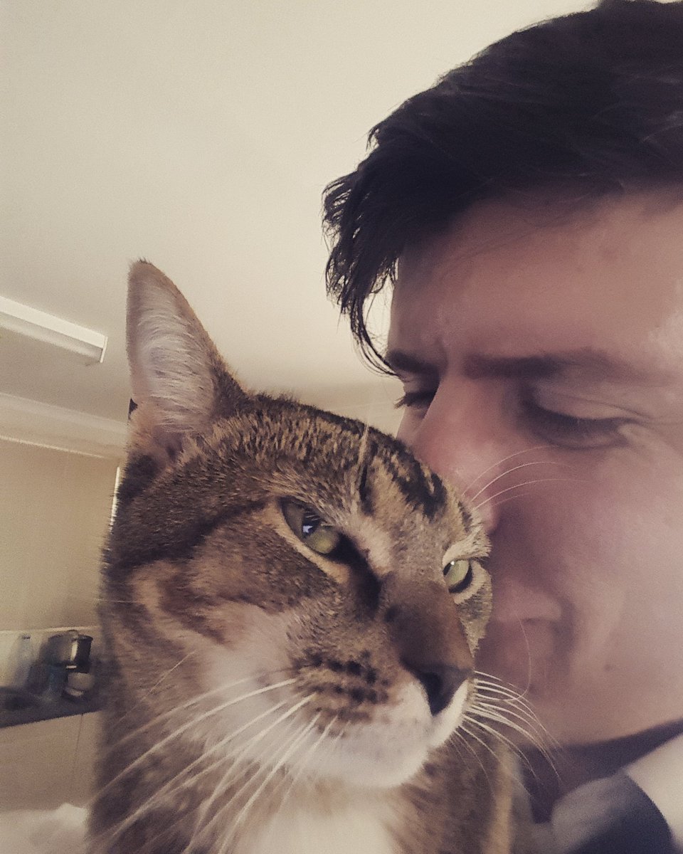 scutchtv's tweet photo. Selfie with an unimpressed Hobbes #tigerkitten https://t.co/s7uee7f9oG
