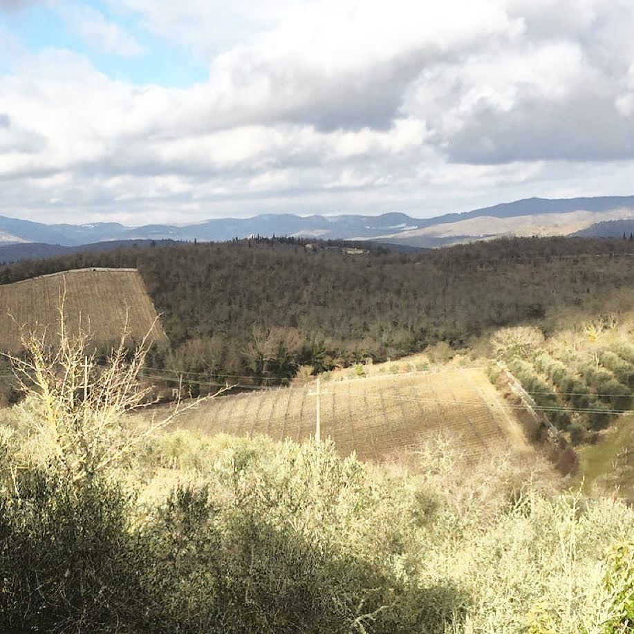 I like #Tuscan countryside in #winter #cretesenesi #tuscany #winterintuscany #igerstuscany #tuscanybuzz #toscanamia…