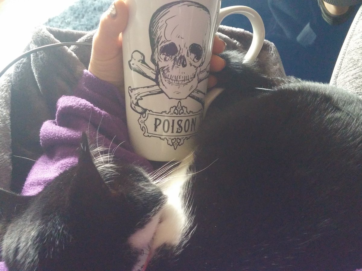 MelyndaKalyn's tweet photo. Morning coffee and kitty cuddles on my last morning before leaving for Australia. Happy #InternationalWomenDay https://t.co/C5Z4fcKpip