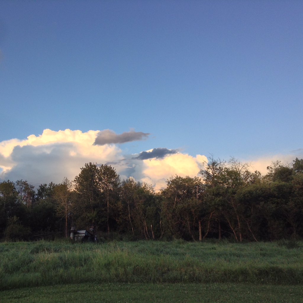 SehnSheldon's tweet photo. Going back to the farm#porcupine plain #sk , it will be nice to see the sky and some tree's https://t.co/aIyzrRQIAg